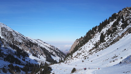 View from the snowy gorge in the mountains to the clouds and the city smog. Coniferous trees and firs are visible. Snowy mountains and grey ground. Gradient blue sky and dark clouds. Drone.