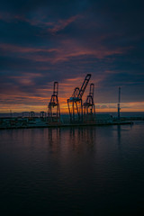 Fototapeta na wymiar Cranes Sunset