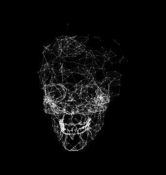 Skull Made in Polygons Plexus, Geometric Structure