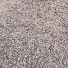 Texture for decoration.Soft color.Background for decoration