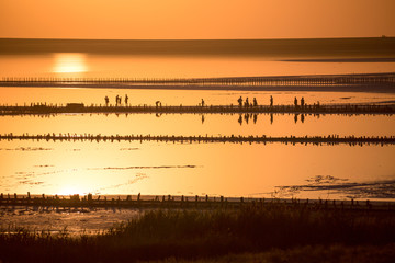  the setting sun sets over the horizon and is reflected on the surface of the lake