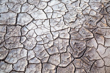 on a hot summer day a dried up lake has died out all living