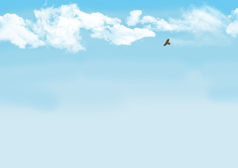 write page