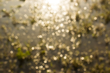 abstract bokeh background