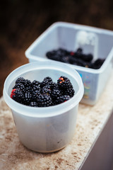 Jar with wild berries