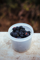 Fototapeta na wymiar Jar with wild berries