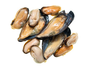 oysters and mussels on white background
