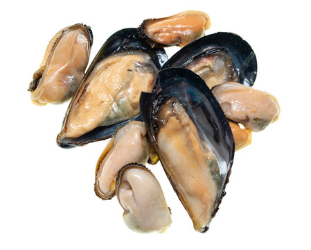 Oysters And Mussels On White Background