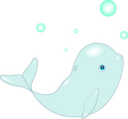 Delphinapterus leucas