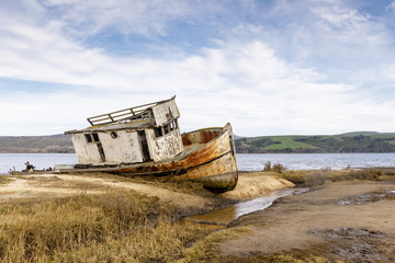 Fototapeta na wymiar Point Reyes Ship wreck on the shore of Tomales Bay in Point Reyes National Seashore. Inverness, Marin County, California, USA.