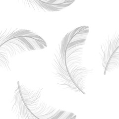 Obraz premium Feather pattern, fluff, fuzz is a white, realistic 3d. Pooh, lightness, airiness.
