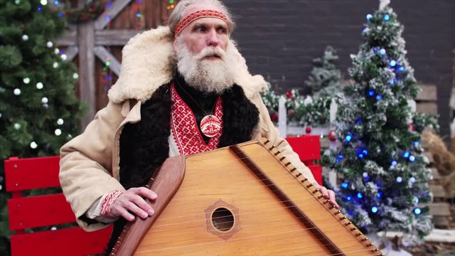 Portrait of old man with white beard in rustic national russian costume among Christmas decorations playing dulcimer