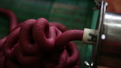 The production technology of food meat products for animals, cats and dogs. Ground meat comes out of the conveyor.