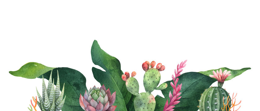 Watercolor vector banner tropical leaves and cacti isolated on white background.