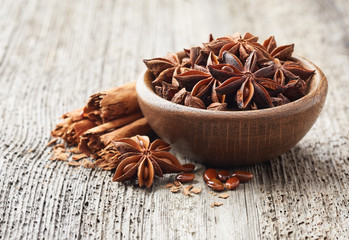Cinnamon bark with anise star