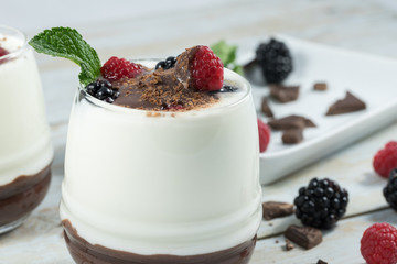 Chocolate yogurt with red berries