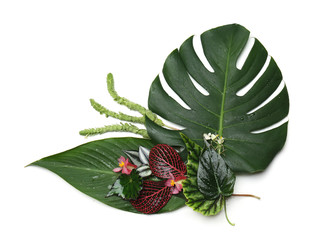 Composition with fresh tropical leaves and flowers on white background