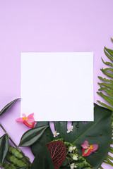 Composition with blank card and fresh tropical leaves on color background