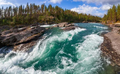 Fototapete Rund Wald Fluss Sjoa Stromschnellen Oppland Norwegen Skandinavien  © Dmitry Naumov