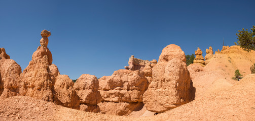 landscape on the bryce canyon in the united states of america