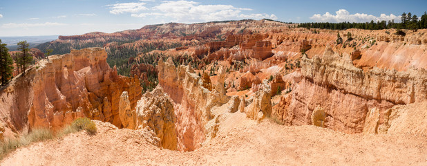 landscape on the bryce canyon in the united states of america