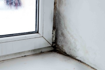 mold in the corner of the window