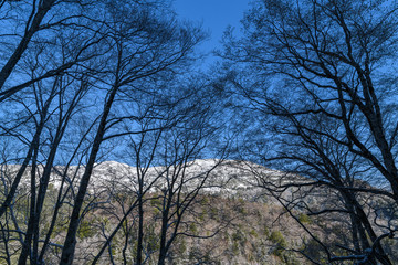 鳩待峠から山ノ鼻に向かう登山道から見た至仏山