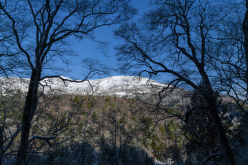 鳩待峠から山ノ鼻に向かう登山道から見た至仏山