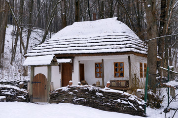 Snowy house on the background of a winter landscape. Winter background.