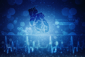 2d illustration  Anatomy of Human Heart 