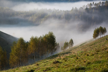 foggy summer landscape in the mountains, Salciua, Romania