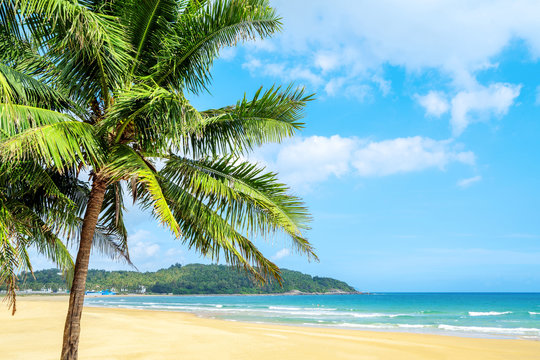 Summer beach landscape