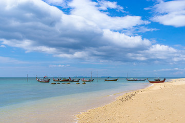 Fototapeta na wymiar Longtale on the beach on the Koh Lanta island. Andaman Sea, Krabi Province, Southern Thailand