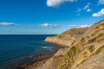 North Sea Coast in North Yorkshire, England, UK - seen from the former alum quarry in Kettleness Point