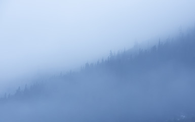 fog in the mountains