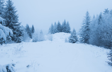 winter mountain landscape
