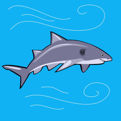 Cartoon big shark under water