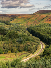 North York Moors landscape in Newtondale, seen from the Levisham Moor, North Yorkshire, England, UK