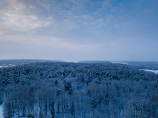 Fototapeta premium Winter weather in Ruissalo National Park, Turku Finland. Shot in December 2018.