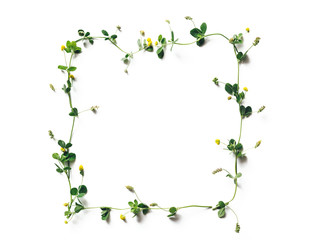 Spring Frame Made Of Meadow Flowers