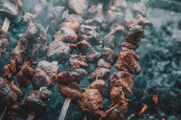 pieces of grilled meat on skewers. Skewers with pieces of mutton meat lie on the grill. The concept of picnic and country rest. Street food