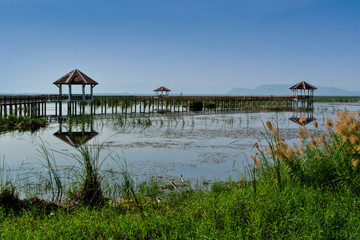 Wooden Bridge in lotus lake at Khao Sam Roi Yod National Park, Prachuap Khiri Khan Province , Thailand