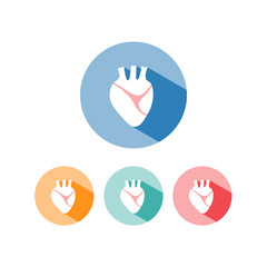 Fototapeta premium Human heart icon with shade on colored circles