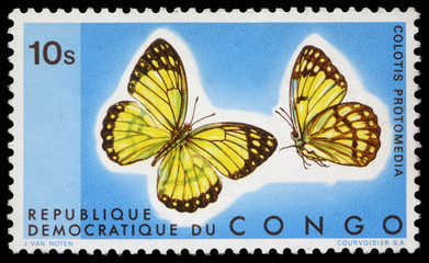 Fototapeta na wymiar Stamp printed in Congo showing Colotis Protomedia butterfly, circa 1960