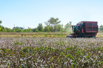 Agricultural machine in cotton fields