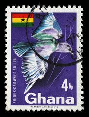 Stamp printed in Ghana shows Rufous-crowned Roller (Coracias naevia), circa 1967