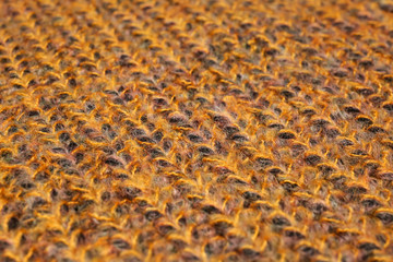 Color knitted clothes, closeup