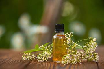 Essence of flowers on table in beautiful glass jar