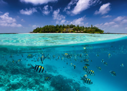 Tropische Insel auf den Malediven mit bunter Unterwasserwelt, Fischen, Korallen und blauem Himmel