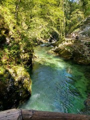 Gorges de Vintgar, Slovénie